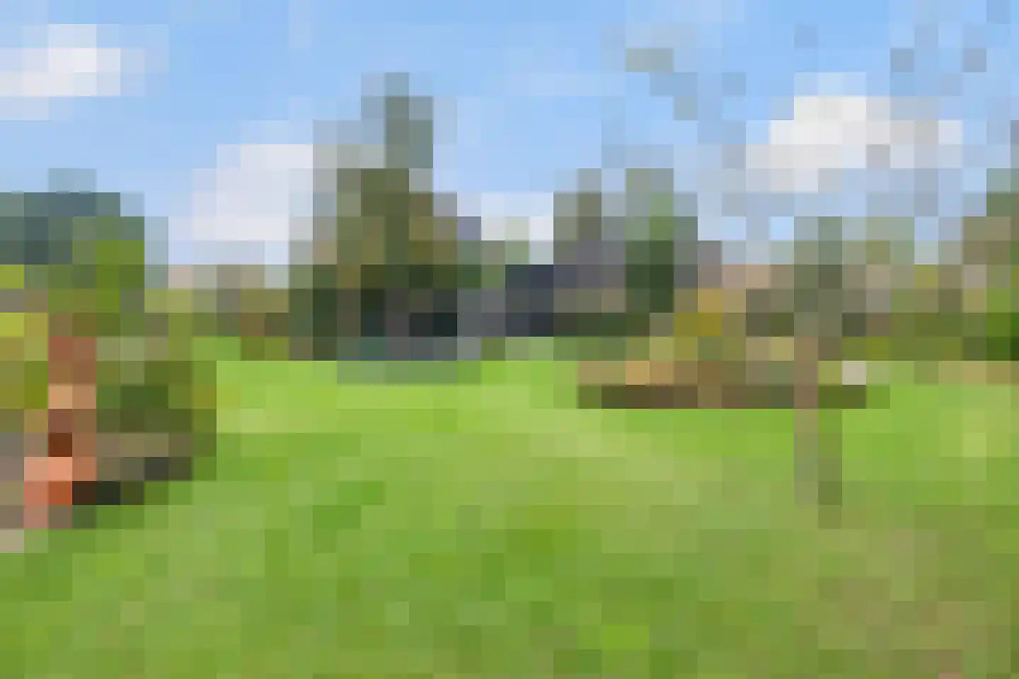 Imbosweg 4 Loenen thumbnail 41