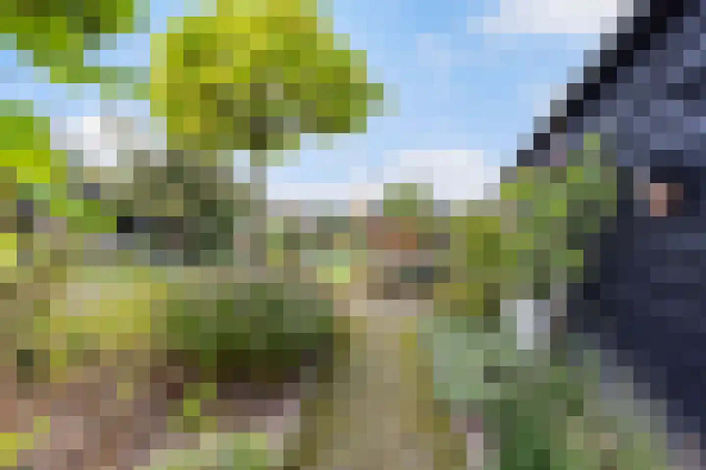 Imbosweg 4 Loenen thumbnail 45
