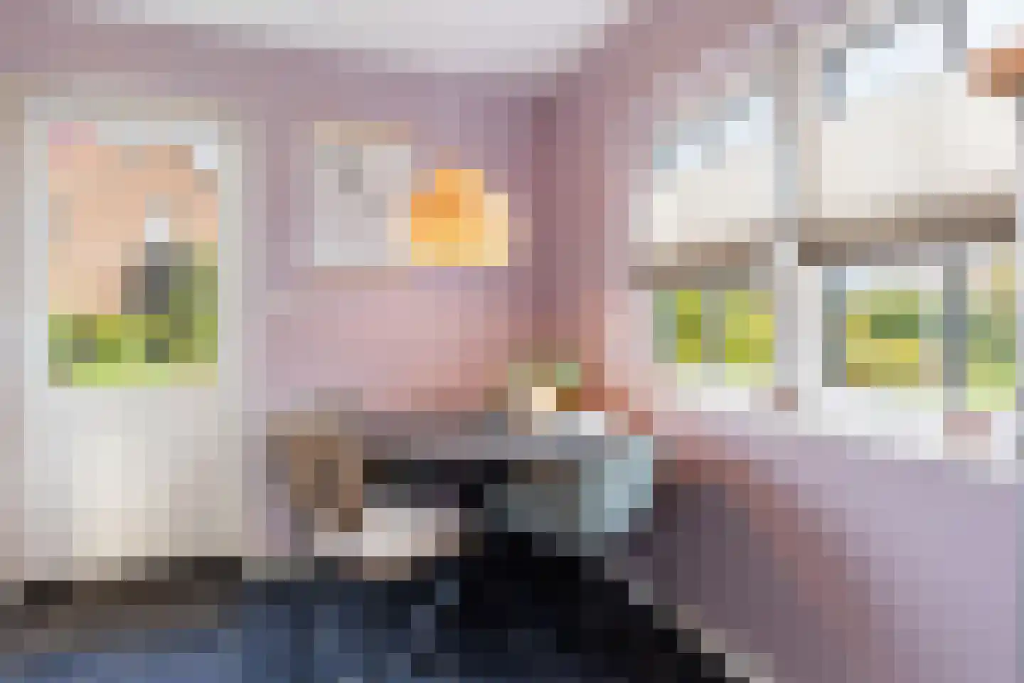 Imbosweg 4 Loenen thumbnail 48