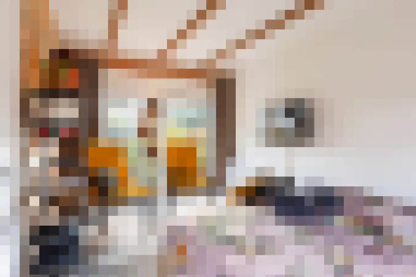 Imbosweg 4 Loenen thumbnail 53