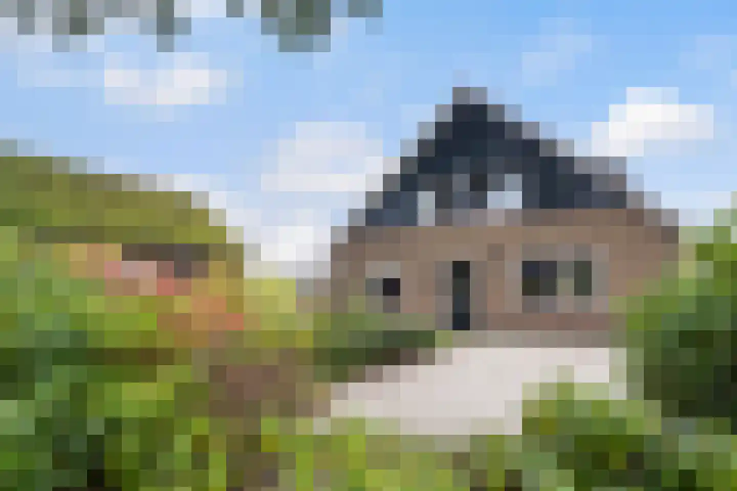 Imbosweg 4 Loenen thumbnail 60