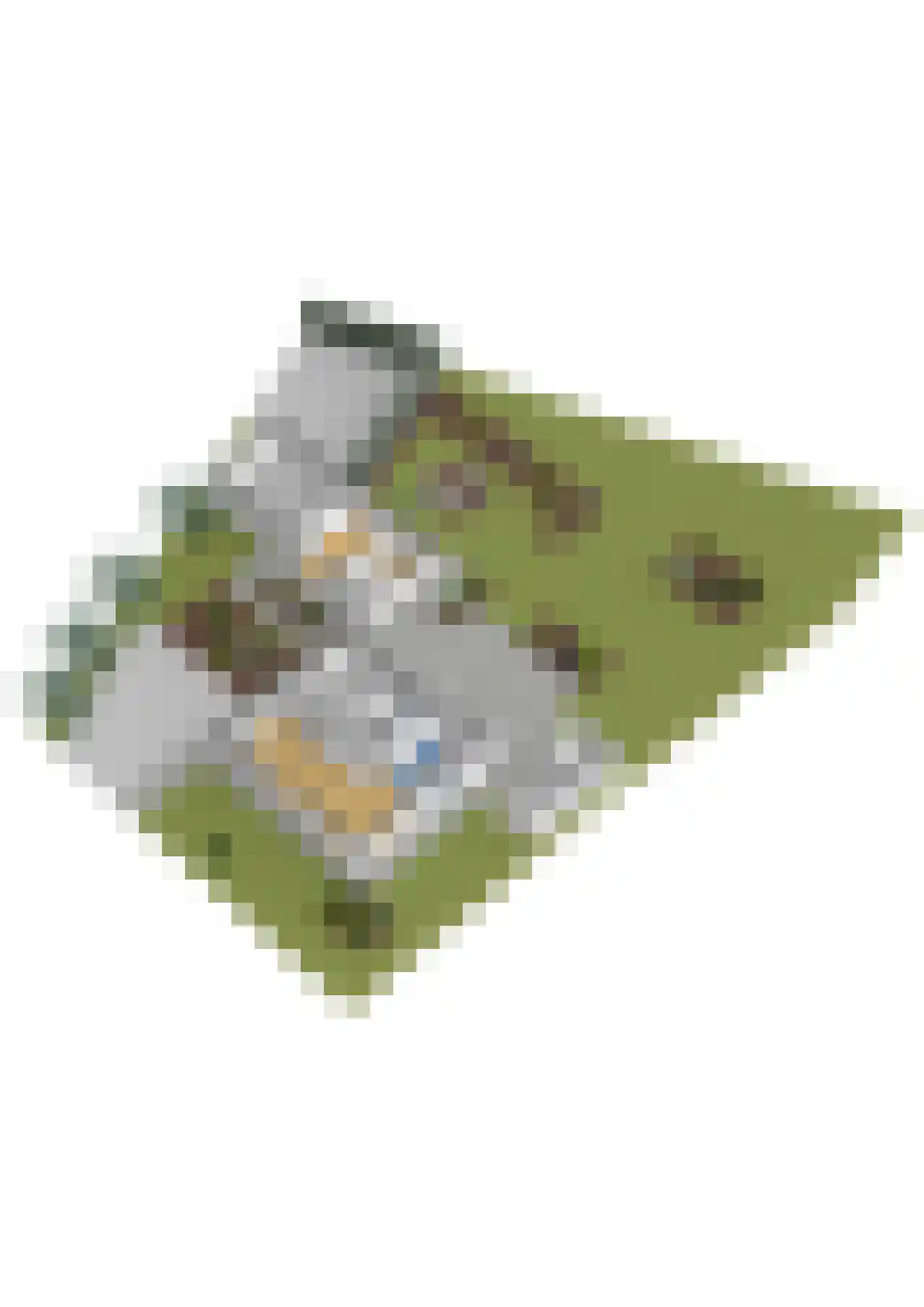 Imbosweg 4 Loenen thumbnail 71