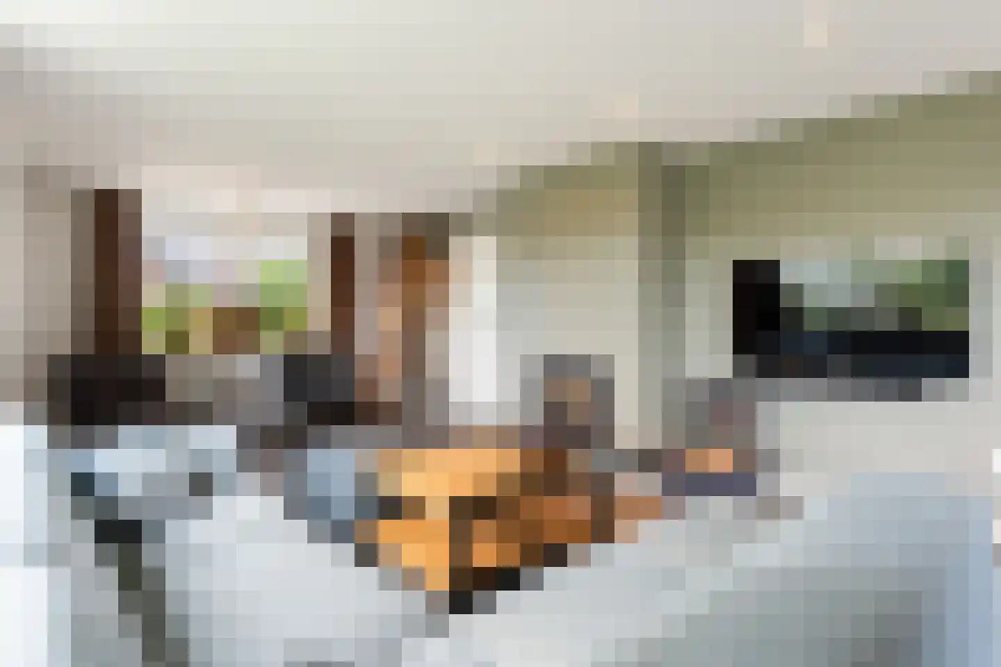 Imbosweg 4 Loenen thumbnail 8