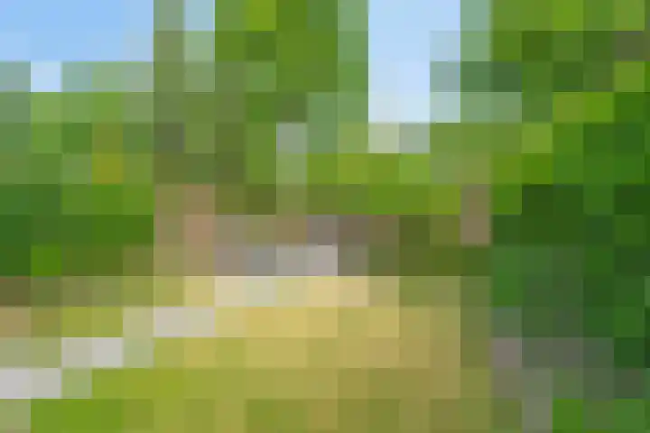 Imkerberg 12 Roosendaal thumbnail 22