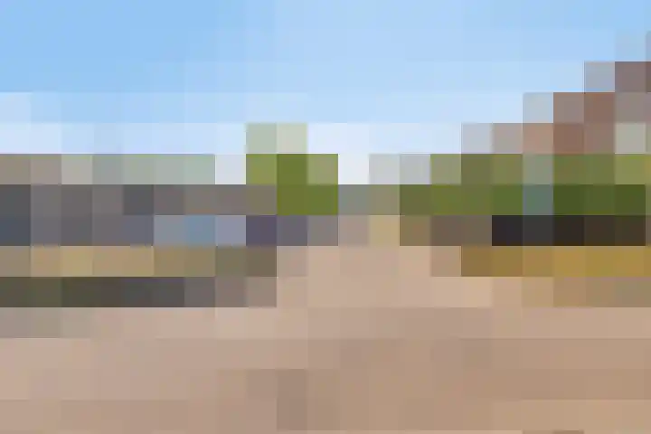 Imkerberg 12 Roosendaal thumbnail 29