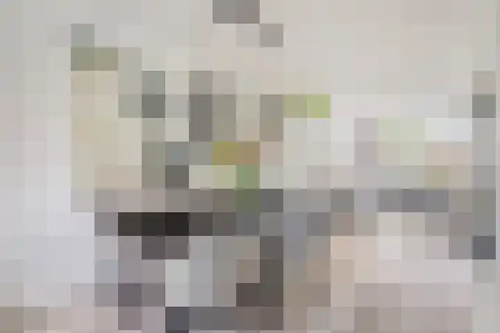 Imkerberg 12 Roosendaal thumbnail 9