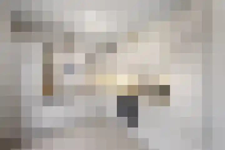 Imkerberg 5 Roosendaal thumbnail 12