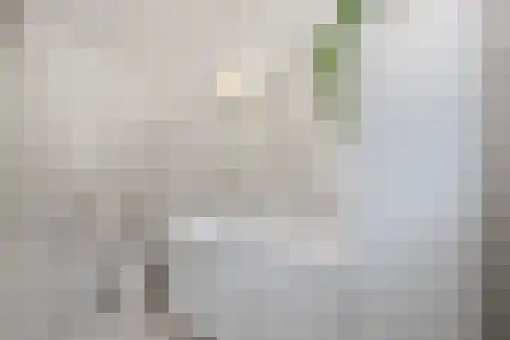 Imkerberg 5 Roosendaal thumbnail 21