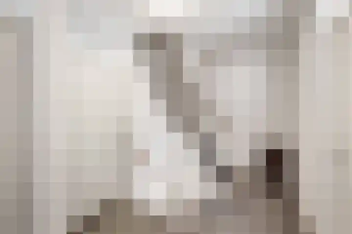 Imkerberg 5 Roosendaal thumbnail 27
