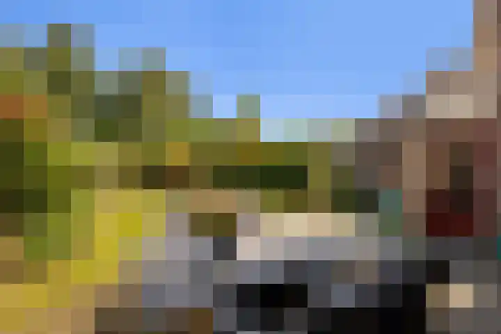 Imkerberg 5 Roosendaal thumbnail 32