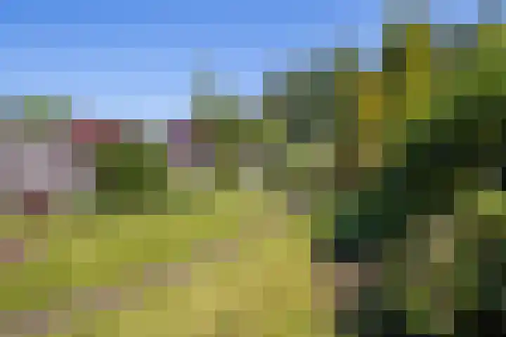 Imkerberg 5 Roosendaal thumbnail 34