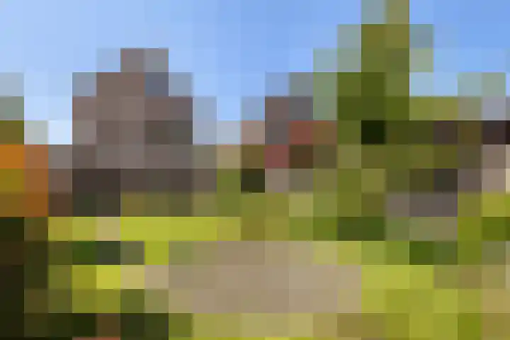 Imkerberg 5 Roosendaal thumbnail 35