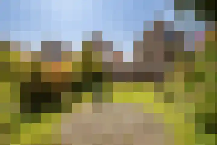 Imkerberg 5 Roosendaal thumbnail 36