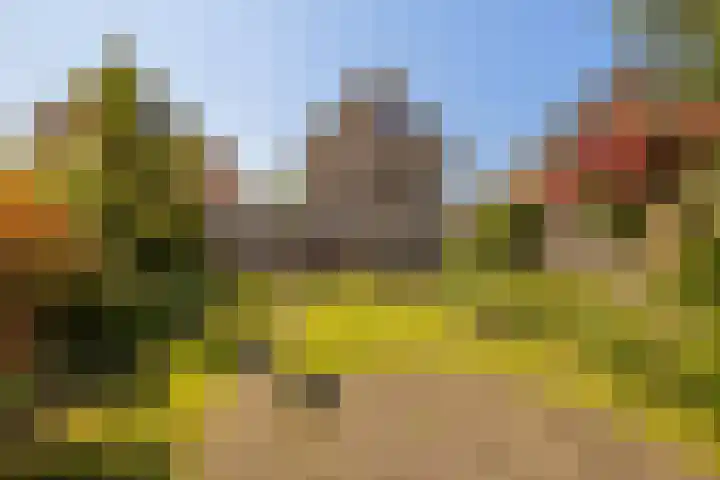 Imkerberg 5 Roosendaal thumbnail 37