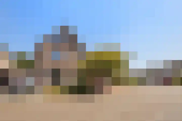 Imkerberg 5 Roosendaal thumbnail 41