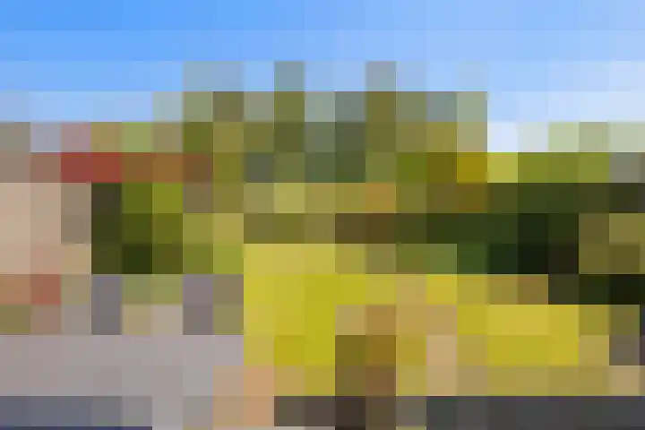Imkerberg 5 Roosendaal thumbnail 5
