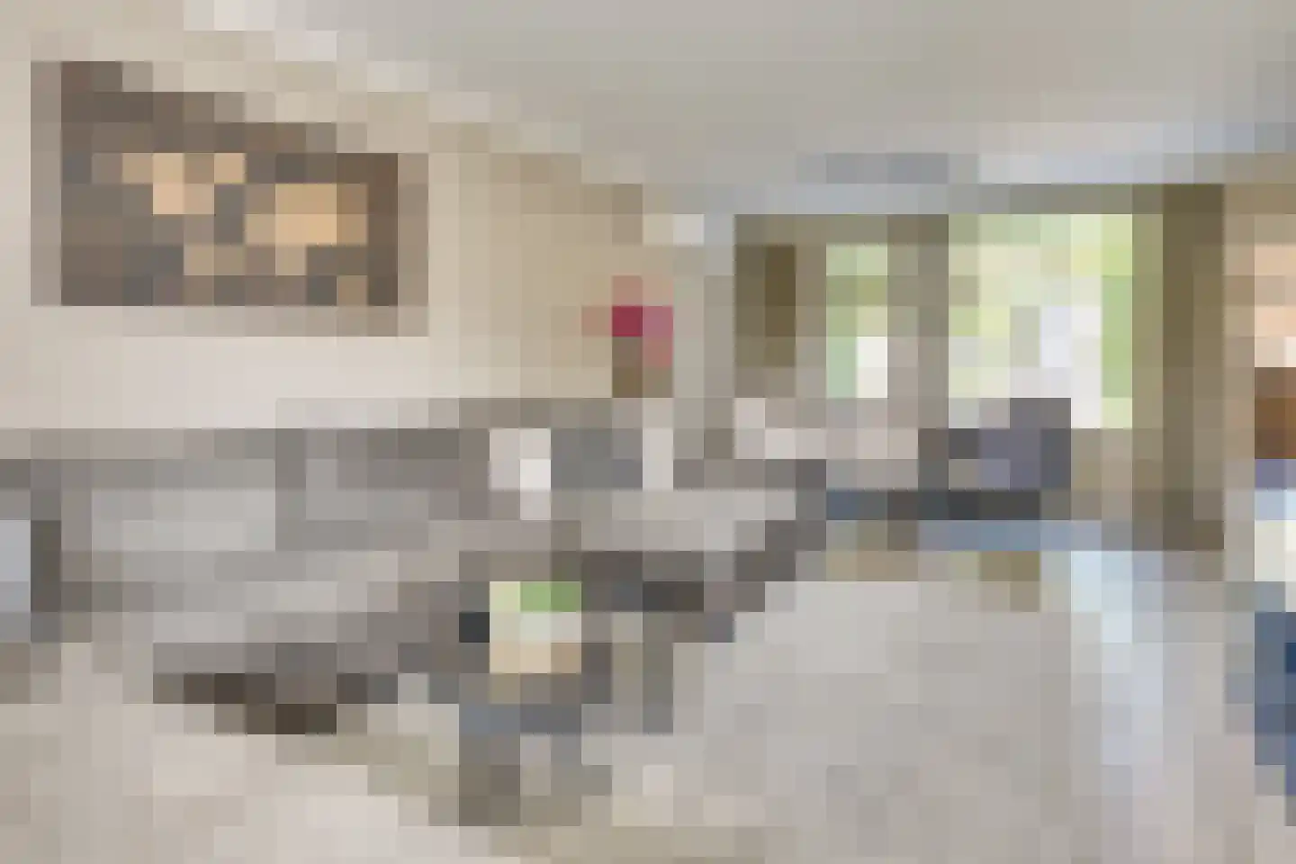 Imkerd 6 Someren thumbnail 13