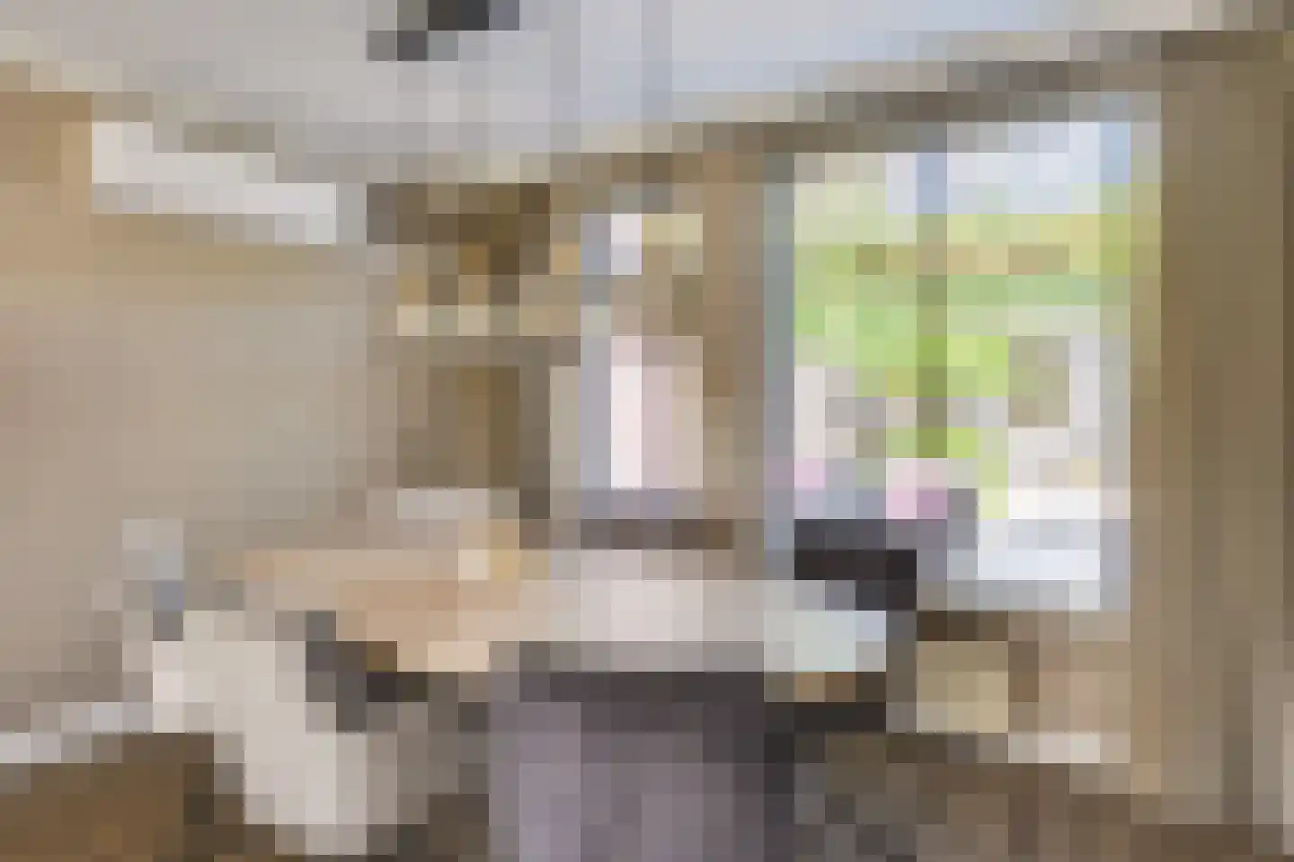 Imkerd 6 Someren thumbnail 15