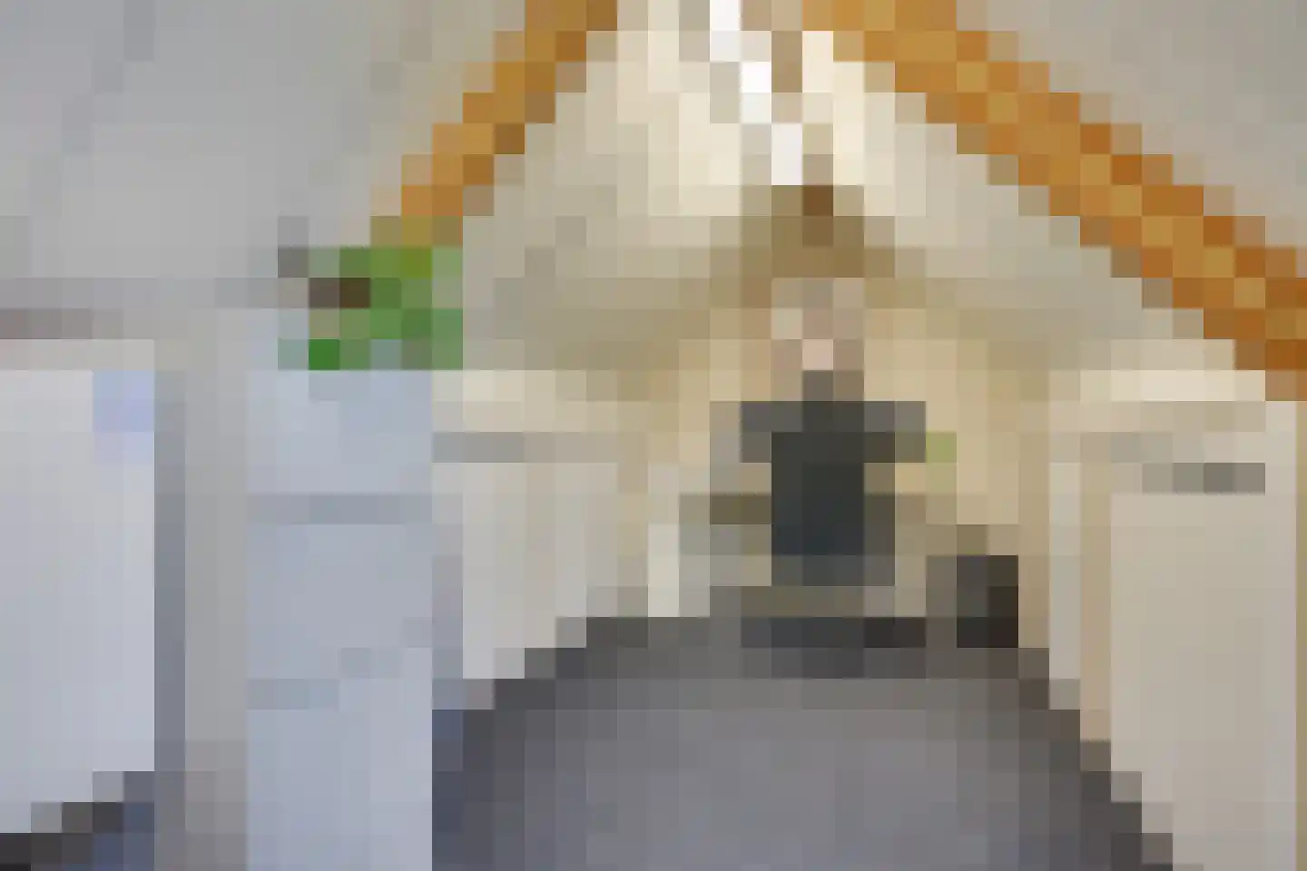 Imkerd 6 Someren thumbnail 31