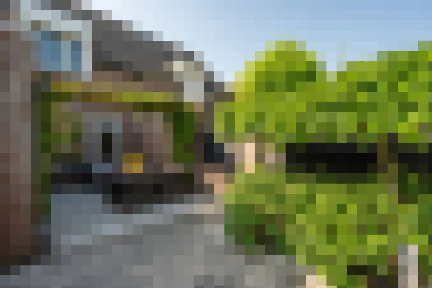Imkerd 6 Someren thumbnail 33