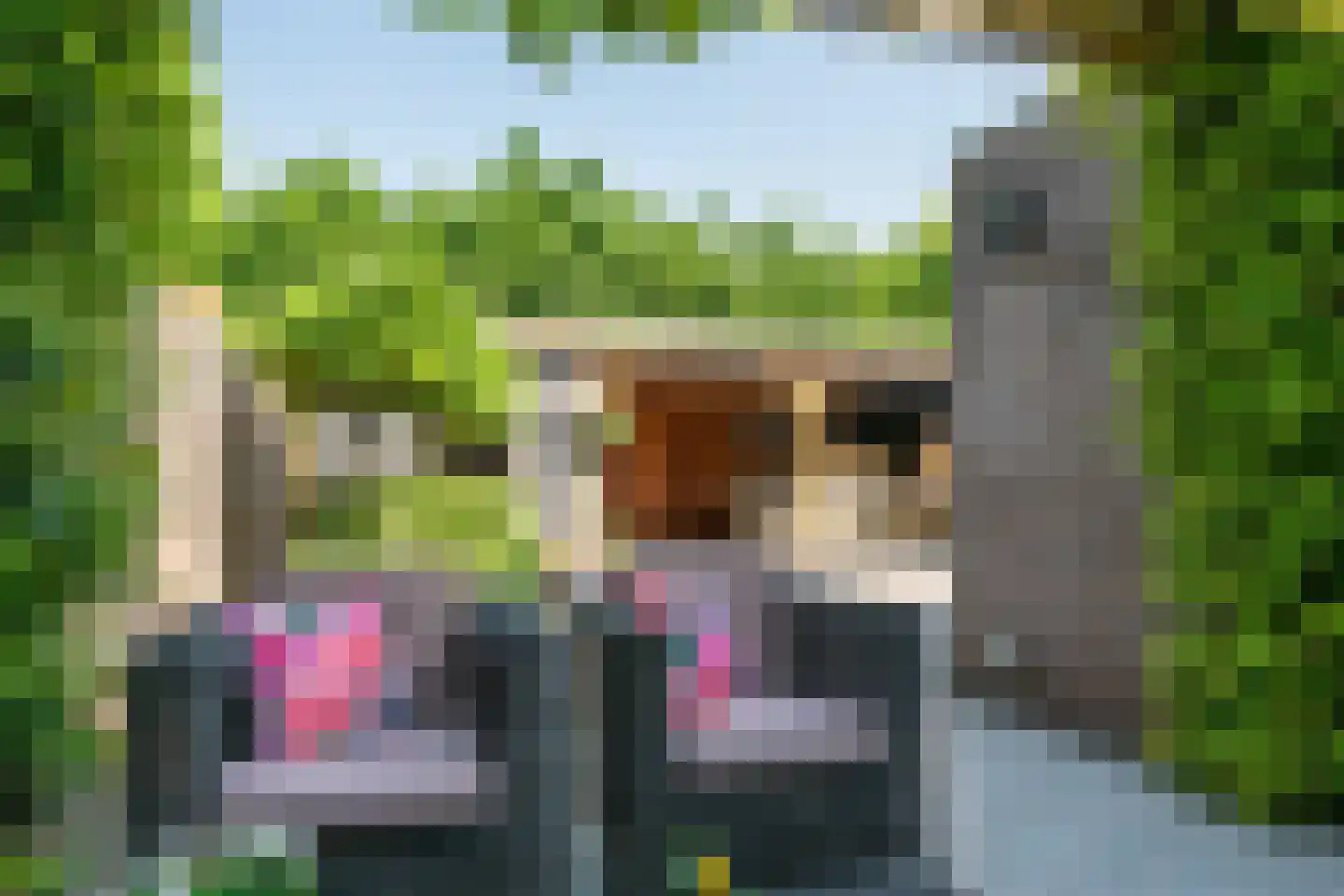 Imkerd 6 Someren thumbnail 34
