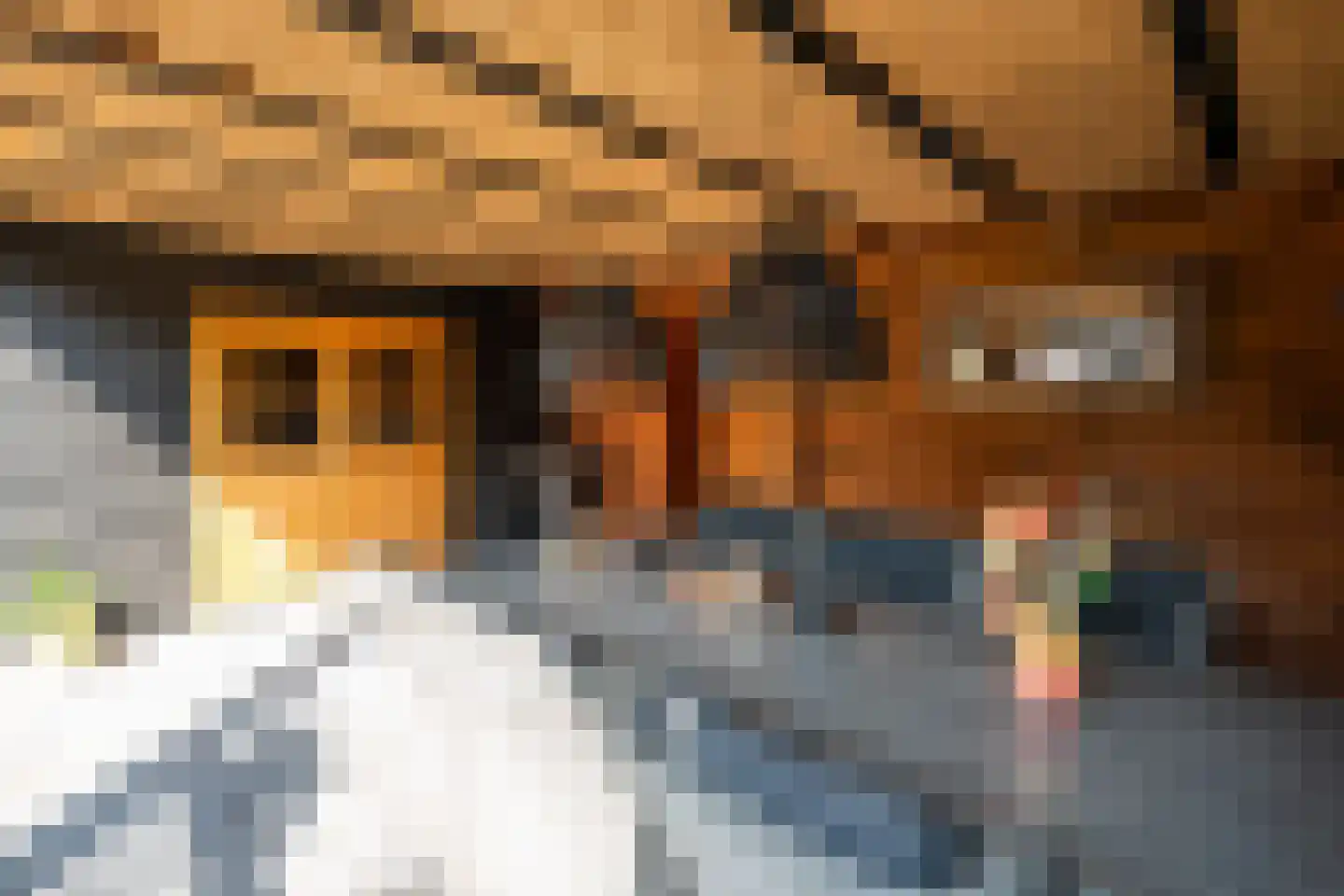 Imkerd 6 Someren thumbnail 38
