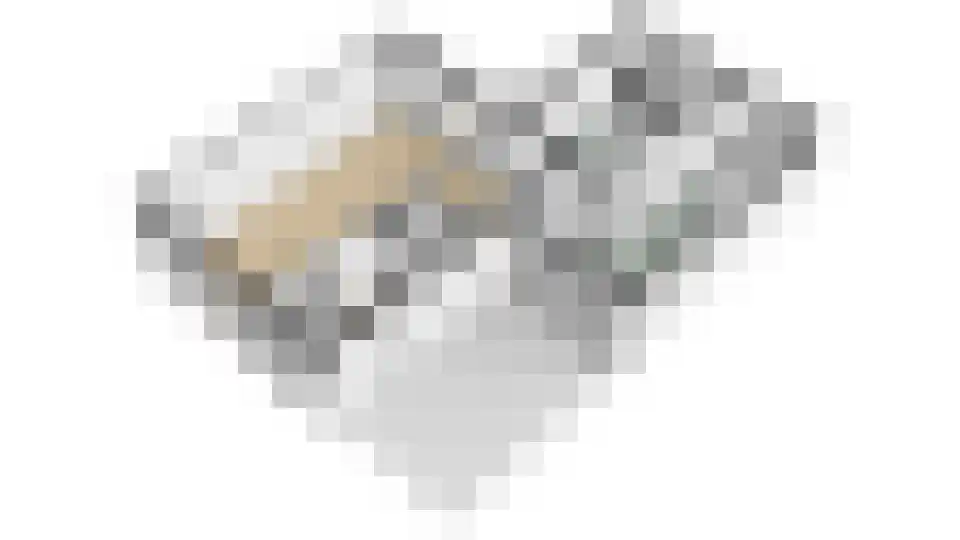 Imkerd 6 Someren thumbnail 43