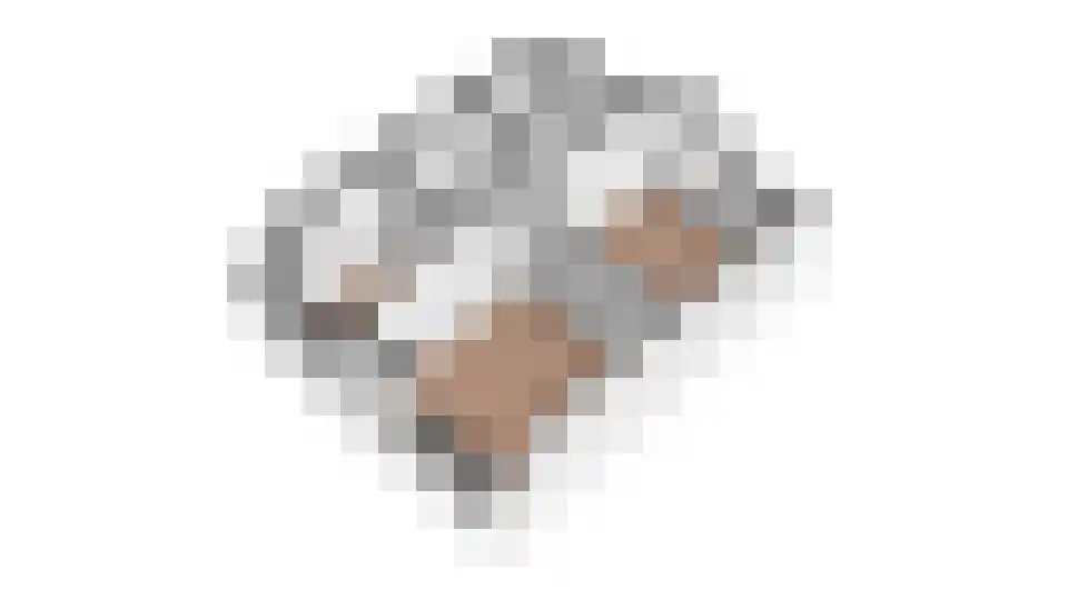 Imkerd 6 Someren thumbnail 48