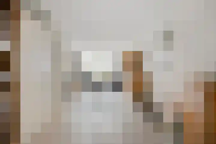 Imkerhei 23 Best thumbnail 14