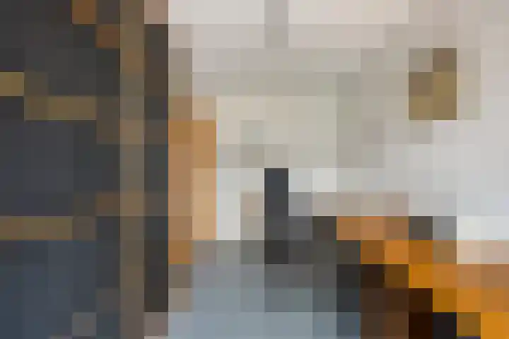 Imkerhei 23 Best thumbnail 49
