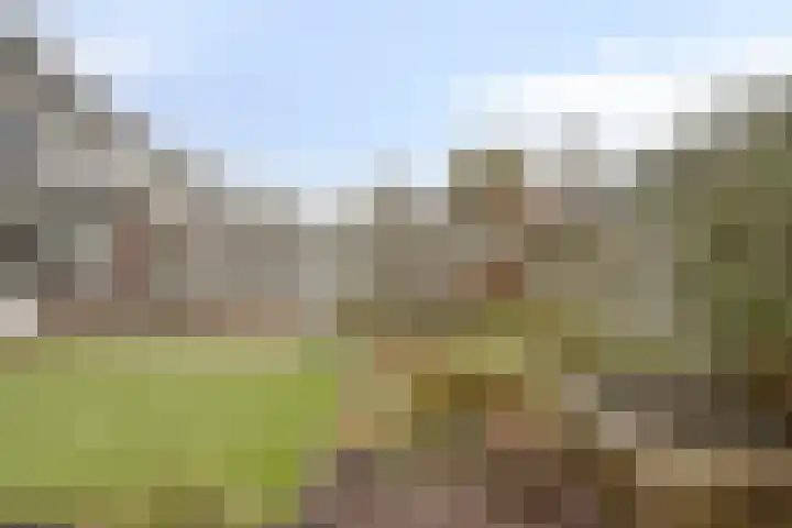 Imkerhei 23 Best thumbnail 5