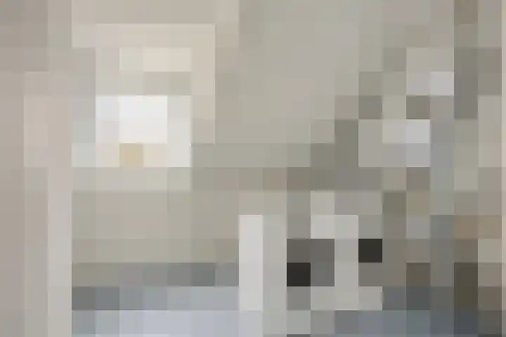 Imkerhei 23 Best thumbnail 56