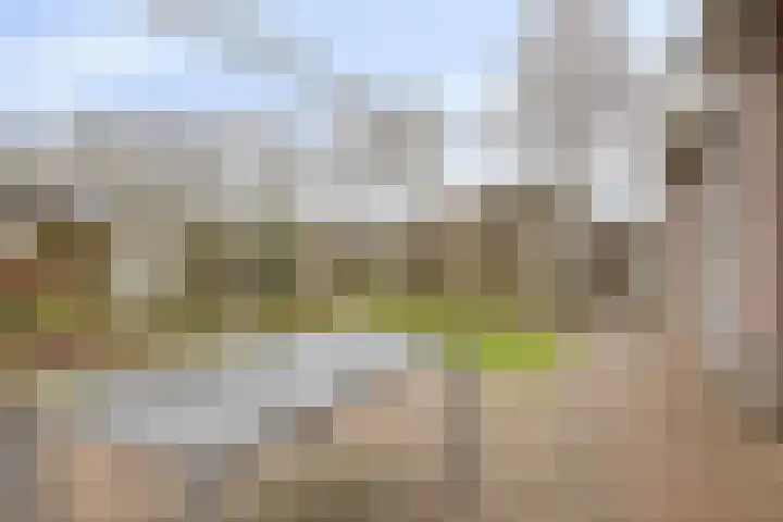 Imkerhei 23 Best thumbnail 57