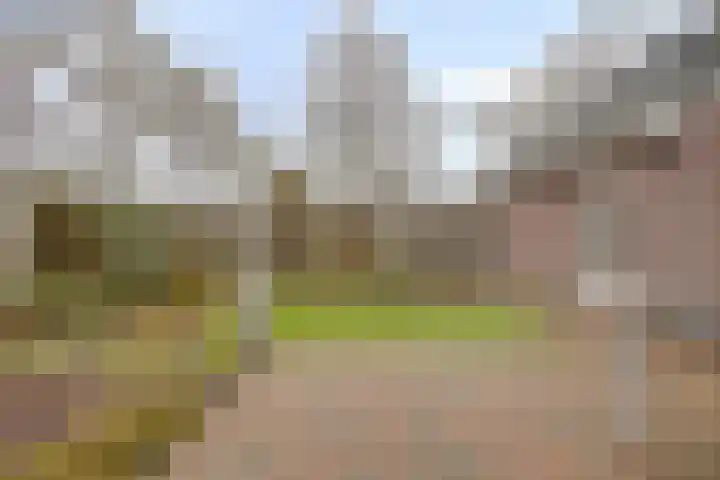 Imkerhei 23 Best thumbnail 58