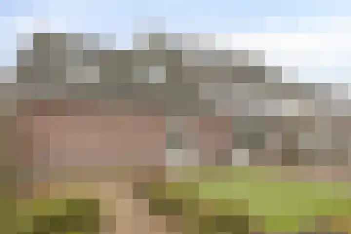 Imkerhei 23 Best thumbnail 59