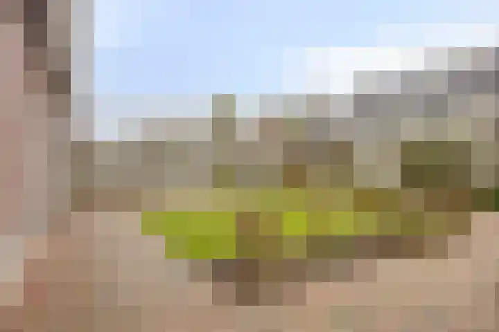 Imkerhei 23 Best thumbnail 60