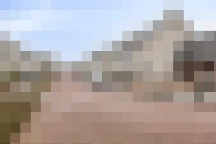 Imkerhei 23 Best thumbnail 62