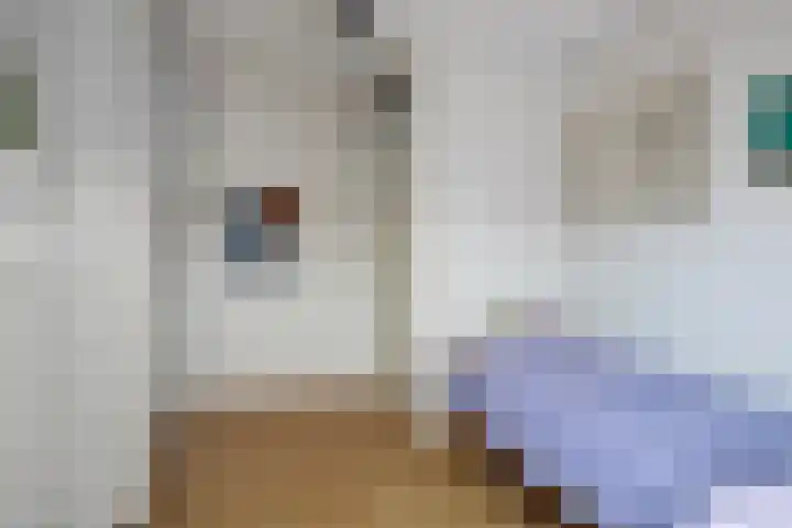 Imkerhei 37 Best thumbnail 20
