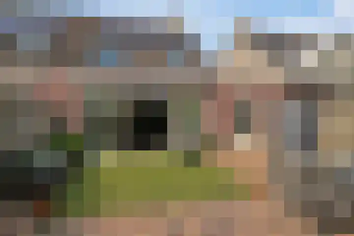 Imkerhei 37 Best thumbnail 26
