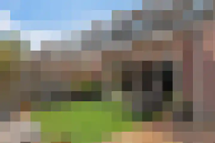 Imkerhei 37 Best thumbnail 27