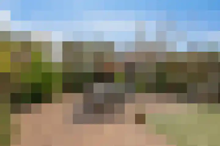 Imkerhei 37 Best thumbnail 31