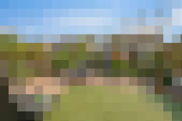 Imkerhei 37 Best thumbnail 32