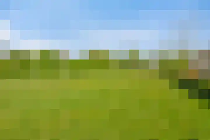 Imkerhei 37 Best thumbnail 33