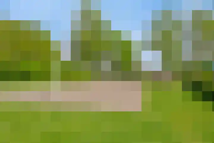 Imkerhei 37 Best thumbnail 34