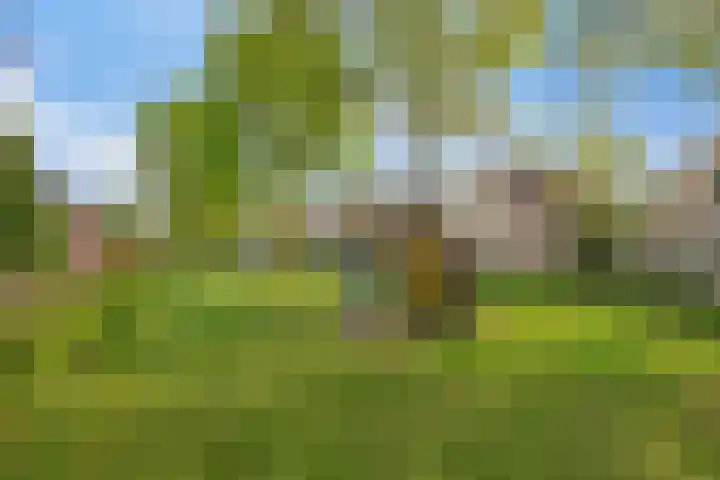 Imkerhei 37 Best thumbnail 35