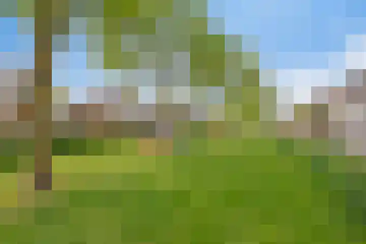 Imkerhei 37 Best thumbnail 36