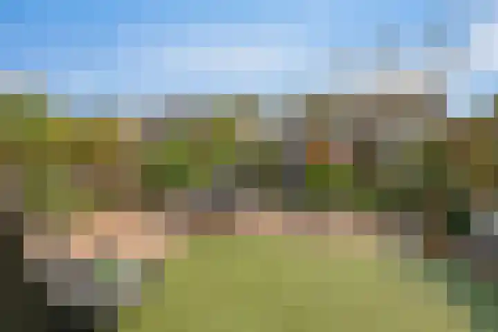 Imkerhei 37 Best thumbnail 4