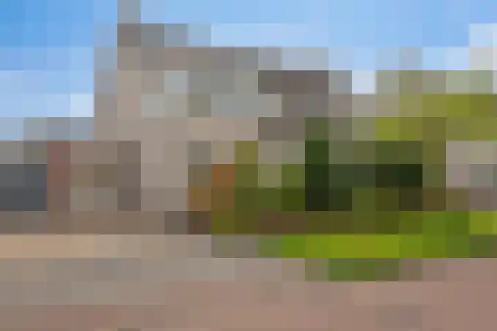 Imkerhei 37 Best thumbnail 40