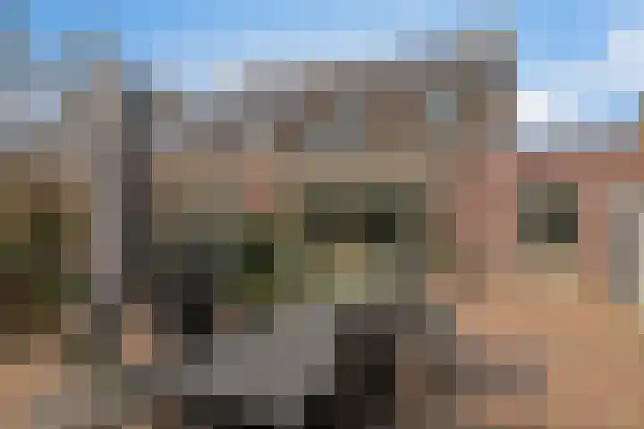 Imkerhei 37 Best thumbnail 5