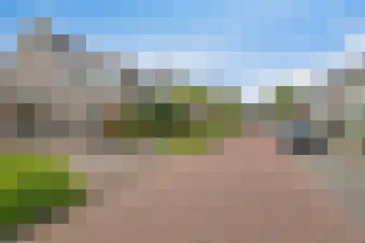 Imkerhei 37 Best thumbnail 6